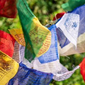 Gebetsfahnen botanika