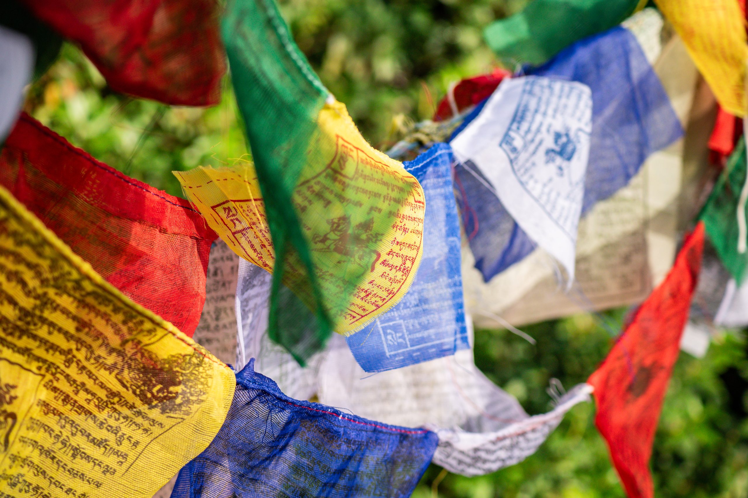 Gebetsfahnen botanika