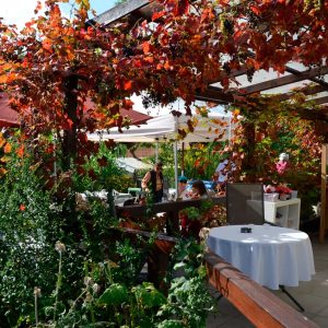 Kaisenhaus draussen im Sommer